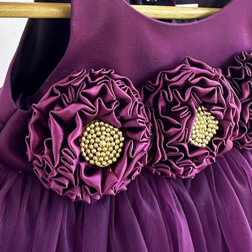 Image of Stanwells Kids Baby Net Dress for Baby Girl Birthday Summer Dress