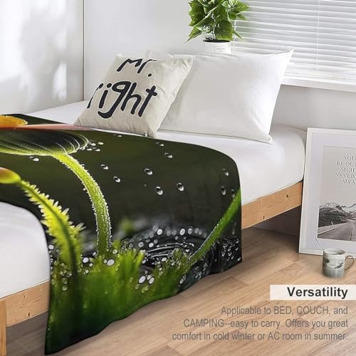 Couverture chaude flanelle abeille pour éliminer la fraîcheur des nuits sur le lit