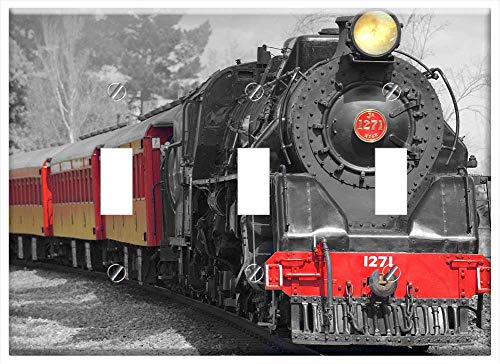 Switch Plate Triple Toggle - Locomotive Steam Locomotive Train Monument Railroad 1