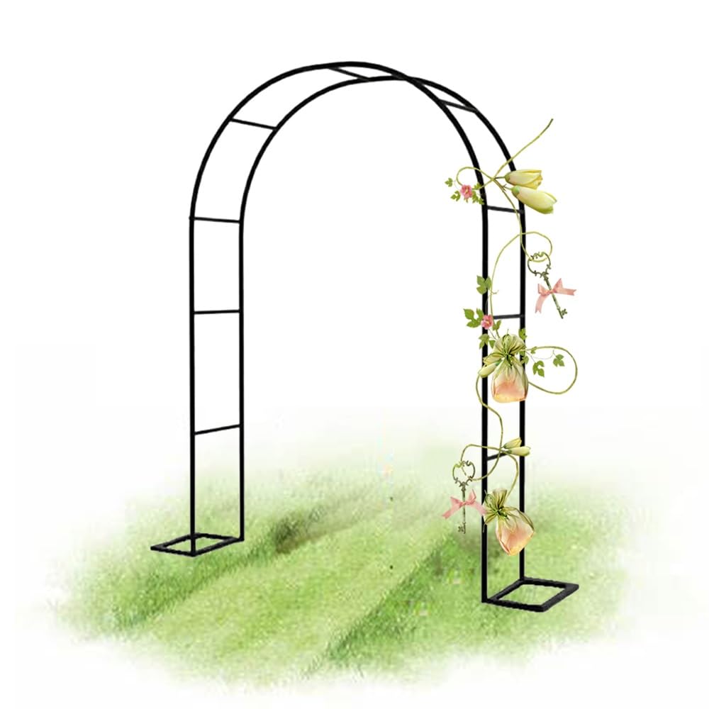 Arche de jardin en métal noir robustesse et design chic L 200 x H 230 cm