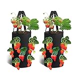 🌱【Platz Sparen】Wenn Sie kein zusätzliches Land zum Pflanzen haben, ist dieser Pflanzentopf eine gute Wahl für Sie. Diese Taschen können problemlos für mehrere Saisons verwendet werden und nehmen beim Verstauen nicht viel Platz ein.