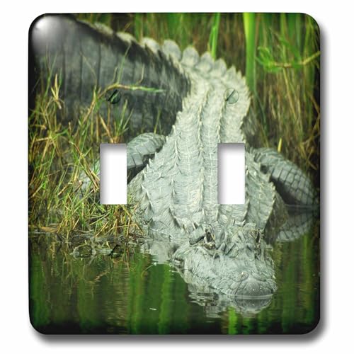 Interrupteur à bascule double Alligator Floride 3dRose lsp_62370_2 - 2