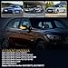 D-Lumina Dynamic LED Side Mirror Sequential Turn Signal Lights Smoked Lens for BMW 1 2 3 4 Series F20 F21 F22 F23 F87 F30 F31 F34 F35 F80 F32 F33 F36 X1 E84 i3, Side Marker Blinkers Mirror Light Lamp