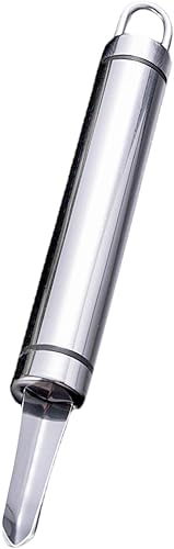 Fenteer Lychee Corer - Descorazonador de chile compacto, a prueba de óxido, multifuncional, resistente, portátil, de azufaifo, removedor de núcleo