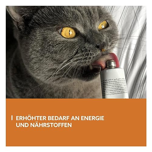 GimCat EXPERT LINE Energy Paste - Funktionaler Katzensnack als optimaler Nährstoff- und Energielieferant - 1 Tube (1 x 50 g)