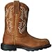 Ariat Womens Tracey Composite Toe Work Boot Dusted Brown 8.5