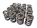 Skunk2 311-05-1350 Tuner Series Valve Spring Set