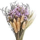 Decoración natural pura: El ramo flores naturales se compone de espigas de trigo naturales puras, colas de conejo y lavanda.Las flores secas adoptan la tecnología de secado al aire natural, que conserva la forma y el olor naturales de las flores secas en la mayor medida. Las plumas regordetas son mullidas y naturales, y el heno conserva su color original.