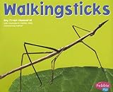 Walkingsticks (Bugs, Bugs, Bugs!)