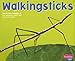 Walkingsticks (Bugs, Bugs, Bugs!)