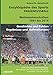 Produktbild FRAUENFUSSBALL - Weltmeisterschaften 1991 bis 2019: Enzyklopädie des Sports