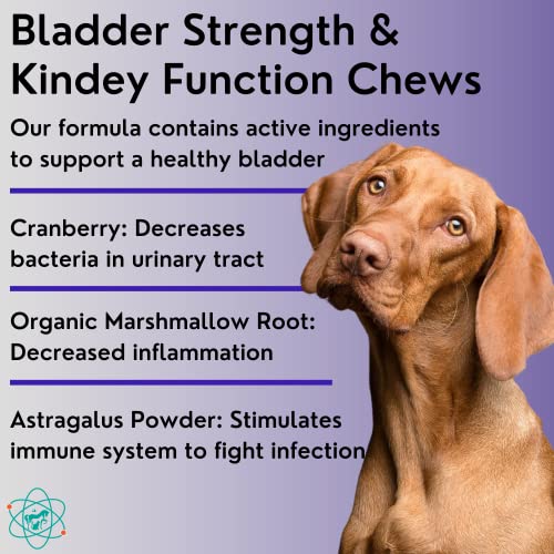Pet Care Sciences Bladder Strength Approx 55 Chews - Natural Dog Uti Treatment - Kidney Support For Dogs - Dog Cranberry Supplement - Senior Dog Incontinence Supplements - Made In The Usa #TOP1
