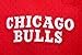 Pro Standard Mens NBA Chicago Bulls Retro Classics Athletic Short Black/RED L