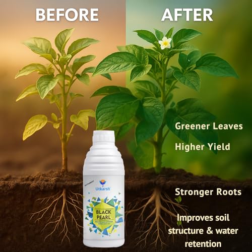 Image of Utkarsh Black Pearl - L (Biologically Activated Liquid Humic Acid 12% & 3% Fulvic Acid), Promotes Plants Growth, Stronger Roots, Improves Flowering & Fruiting, Biostimulant (2 Ltr; Pack of 2 of 1 Ltr)