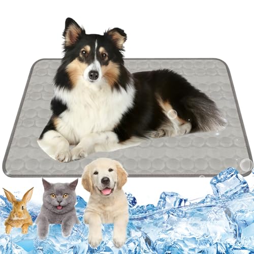 Hundekühlmatte Selbstkühlend 100x70cm Kühlmatte Hund Grau Kühlmatte für Hunde Größe XL Kühlmatte für Katzen Katzen Waschbar Haustier Kühlmatte für Zuhause Unterwegs Oder Im Auto Hundekühlmatte Selbstkühlend 100x70cm Kühlmatte Hund Grau Kühlmatte für Hunde Größe XL Kühlmatte für Katzen Katzen Waschbar Haustier Kühlmatte für Zuhause Unterwegs Oder Im Auto