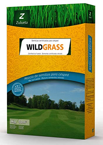 Semente de relva Wildgrass - 1 kg