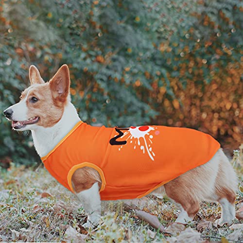 2 Pack Dog Shirts Rainbow Stripe Pet Vest Quick Dry Mesh Cloth Breathable Summer Soft Sleeveless T-Shirt Dog Cat Clothes For Small Medium Girl Boy,Large #TOP6