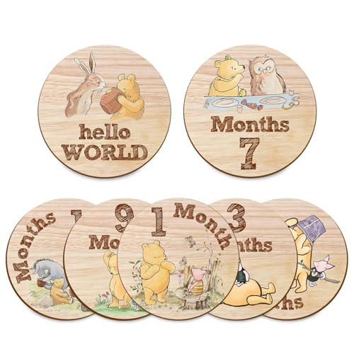 Image of Hatzelou 7Pcs Baby Monthly Milestone Circles, Winnie Baby Stuff, Double-Sided Printing Months Baby Milestone Wooden Keepsake, Milestone Wooden Circles Stuff for for Documenting Growth