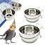 For birds