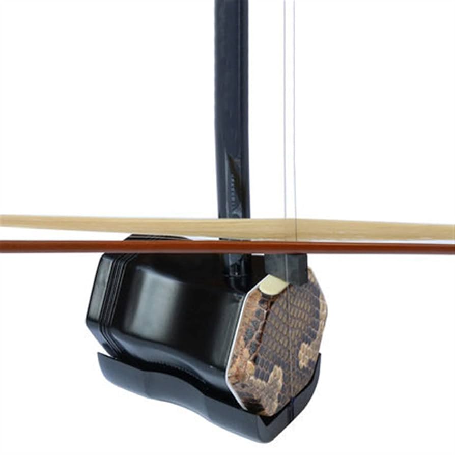 中国　二胡　民族楽器 Amazon.co.jp: TSTS 中国国立楽器二胡カラーウッド二胡二弦 二胡