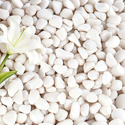 Pierres décoratives pour plantes haut de gamme avec gravier blanc pur de 4,5 kg