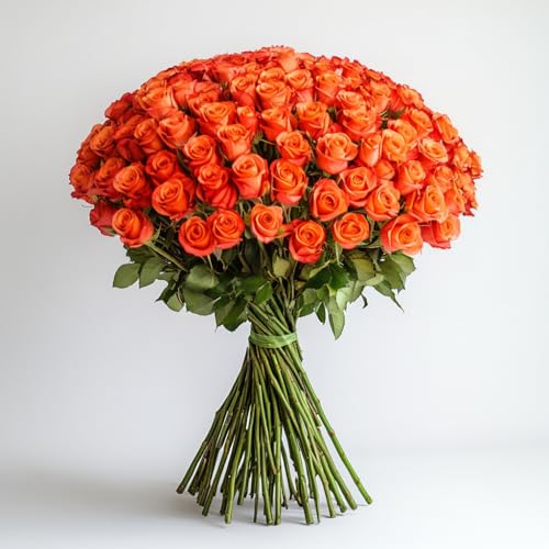 Globalrose 50 Orange Roses- Fresh Flowers- Beautiful Bright Blooms For Birthday cover