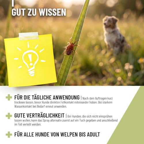 TESTURTEIL SEHR GUT 2026 ReaVET Grasmilben-Spray für Hunde 500ml – Sofortschutz gegen Grasmilben + Hautpflege mit Mandelöl I 2-in-1 Milbenspray – Milben-Abwehr & Pflege für gereizte juckende Haut