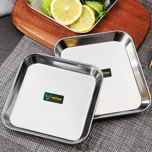 Image of Stainless Steel Plates Set of 6 | Square Plates | Breakfast /Lunch /Dinner Plates Set of 6, Diameter: 8 Inches (Plain) (8 Inches, Solid)