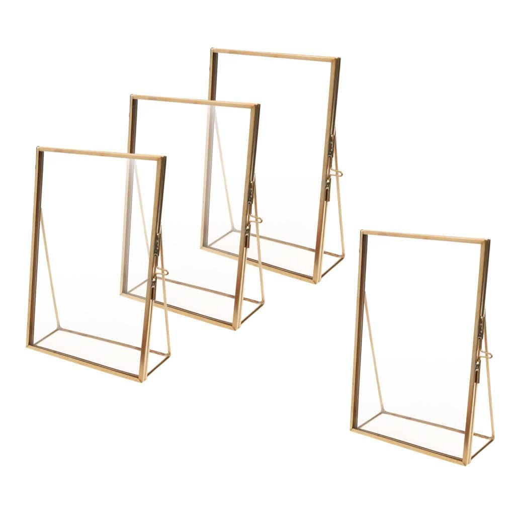 Cadre photo en verre et laiton doré predolo suspendu pour herbier et portrait retro