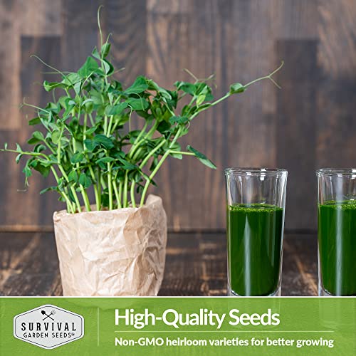 Survival Garden Seeds Sugar Peas Microgreens For Sprouting And Growing - Seed To Sprout Green Leafy Micro Vegetable Plants Indoors - Grow Your Own Mini Windowsill Garden - Non-Gmo Heirloom Variety #TOP4
