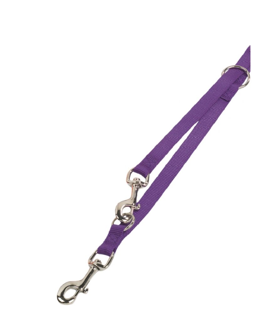 Nobby Pet Violet Nylon Dog Leash Classic