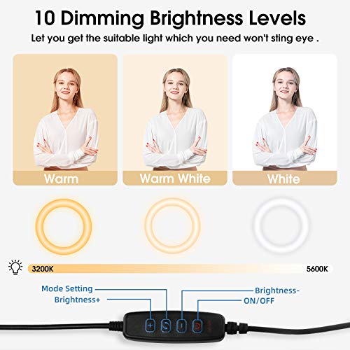 Lusweimi Ring Light for Laptop Computer Video Conferencing with Clip&Overhead Tripod, LED Selfie 6\" Webcam Light with Magic Arm&Phone Holder for iPhone/Zoom Meeting/Video Recording/YouTube/TIK Tok