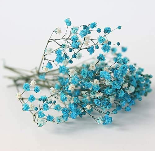 Amazon | Elegantflower かすみ草 ドライフラワー ちょっとずつ/セット