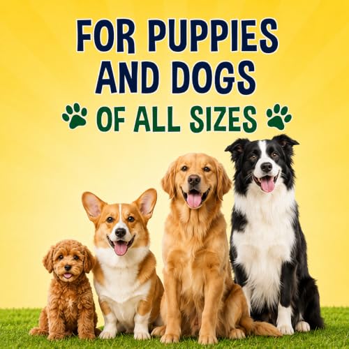 Image of Pee Here Dog Potty Training Spray - Teaches Your Puppy The Right Spot to Go - Attracts Dogs to Pee Pads, Grass, and Approved Potty Areas