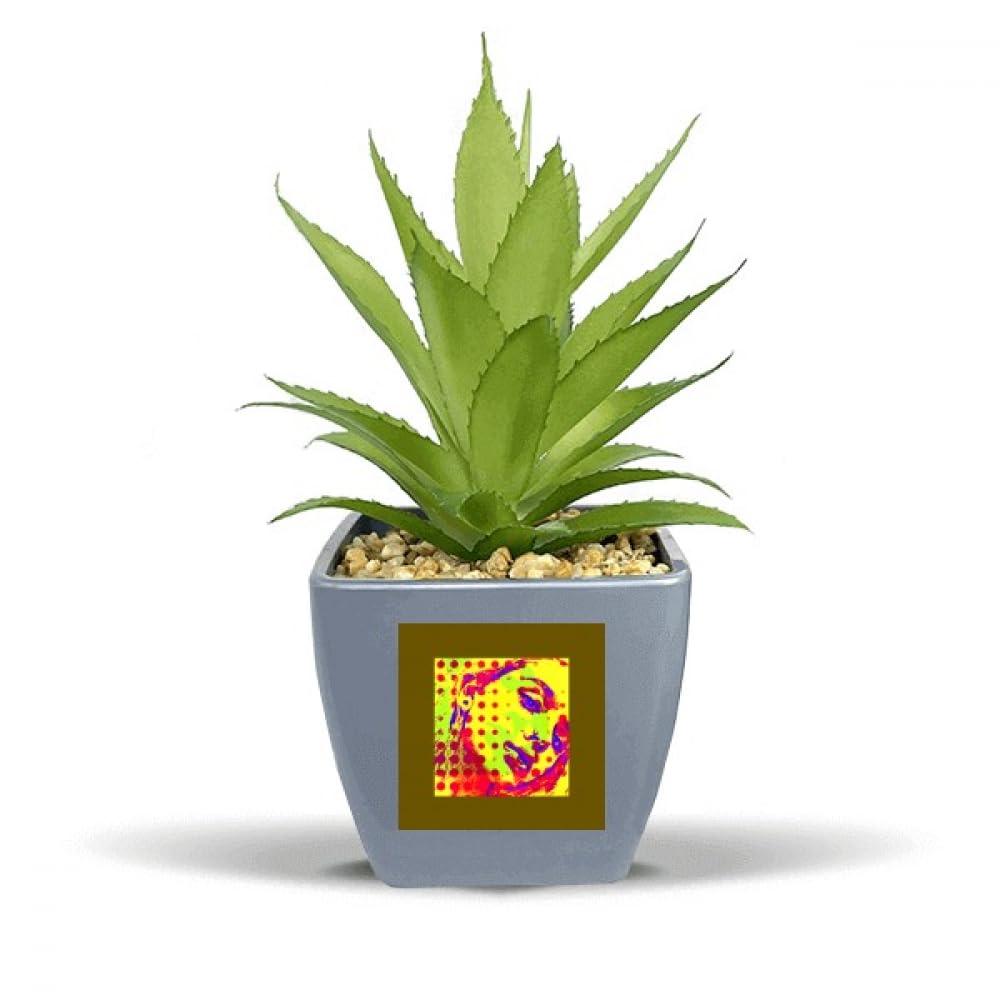 no/noStrabismus Countenance Splendid Lady Fake Pineapple Flower Pot Vase Mini Decor