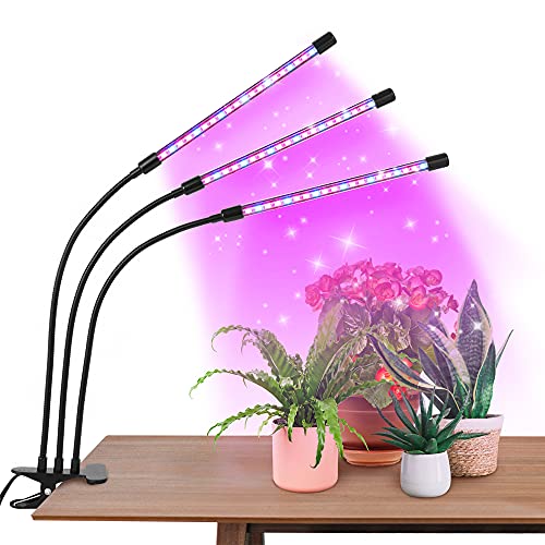 10 Best Uv Light For Indoor Plants By Editor in 2023