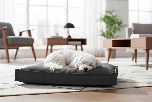 Premium Kedi Köpek Yatağı - 50X70 Fermuarlı Yıkanabilir Minder, Gri