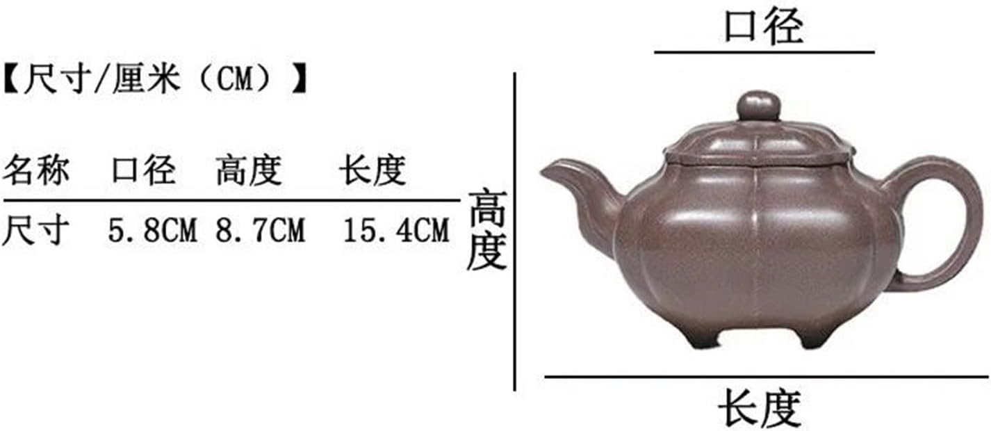 ❤︎パンダガジュマル 斑入り 可愛い丸い台木 接木株 3号鉢❤︎