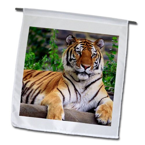 3dRose Sibirischer Tiger Gartenflagge – 30,5 X 45,7 Cm, Polyester, Einseitiger Druck, Für Draußen