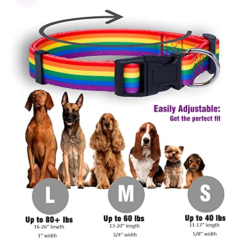 Native Pup Rainbow Flag Dog Collar Gay Pride Stuff For Parade, Lgbtq Flags Equality Pet Apparel Decor Gift And Lgbt Ally Accessories (Small) #TOP2