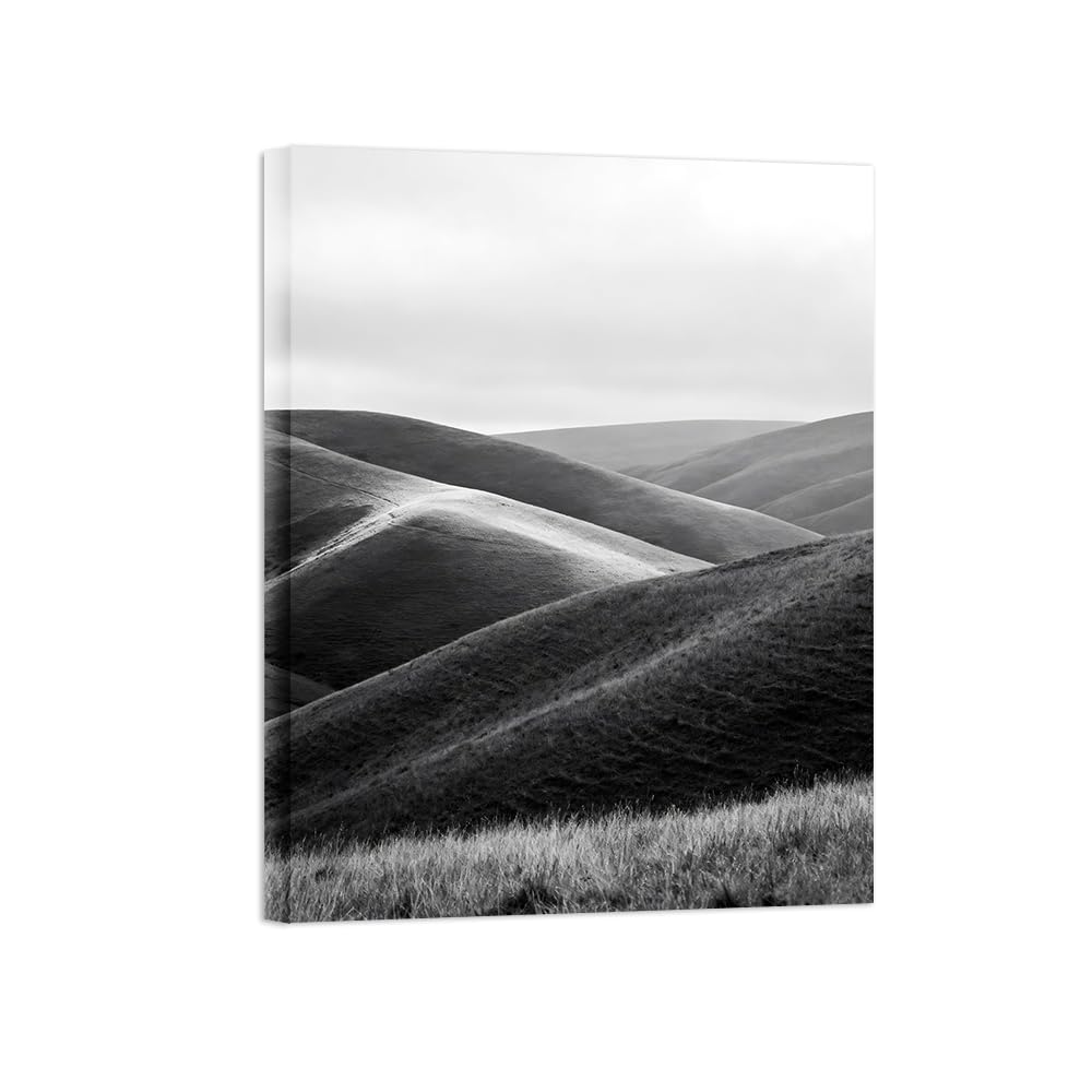 OZPWBVY Grassland Black White Landscape Wall Art Prints 90x117cm Framed