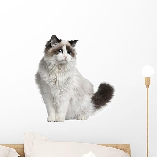 Wallmonkeys WM299302 - Adhesivo decorativo para pared, diseño de gato sentado