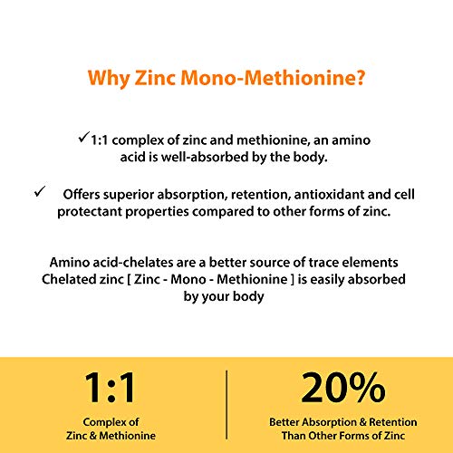 Zinc 50Mg Supplement 120 Vegetarian Capsules, Zinc Highly Absorbable Supplements For Immune Support System, Gluten Free Zinc Supplement #TOP4