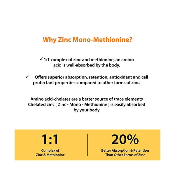 Zinc-50mg-Supplement-120-Vegetarian-Capsules-Zinc-Highly-Absorbable-Supplements-for-Immune-Support-System-Gluten-Free-Zinc-Supplement Zinc 50mg Supplement 120 Vegetarian Capsules, Zinc Highly Absorbable Supplements for Immune Support, Gluten Free