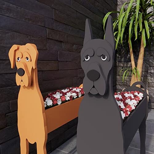 Is areca palm safe for dogs