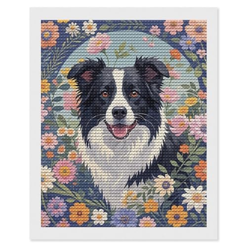 Peinture diamant Border Collie 5D : le cadeau bricolage adulte à offrir