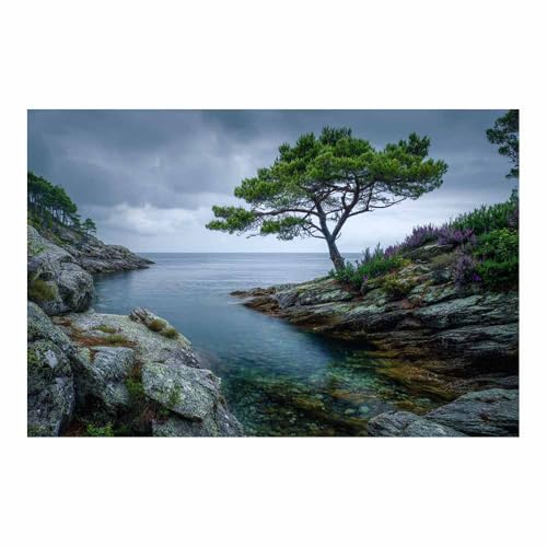 XENIOU Cuadros Paisajes Una imagen de un árbol solitario en la orilla rocosa impresión en lienzo, cuadros decoracion, Salon para Dormitorio, Baño（Multicolor-40x60cm Sin marco