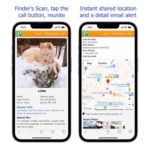 Pet Dwelling Etiqueta de identificação de animais de estimação com código QR da série Gem para cães