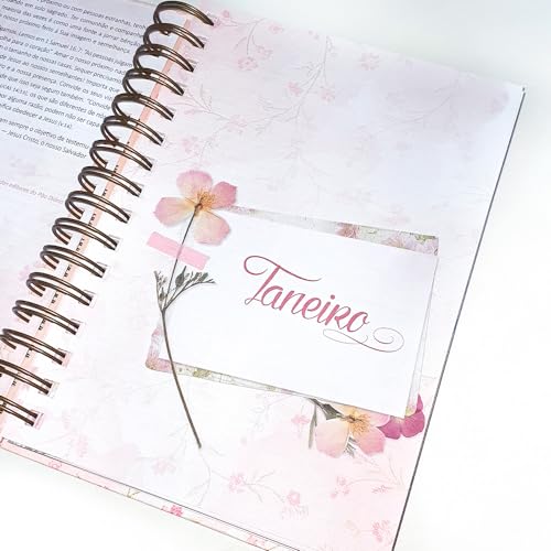 Diário de Oração - A Glória do Senhor