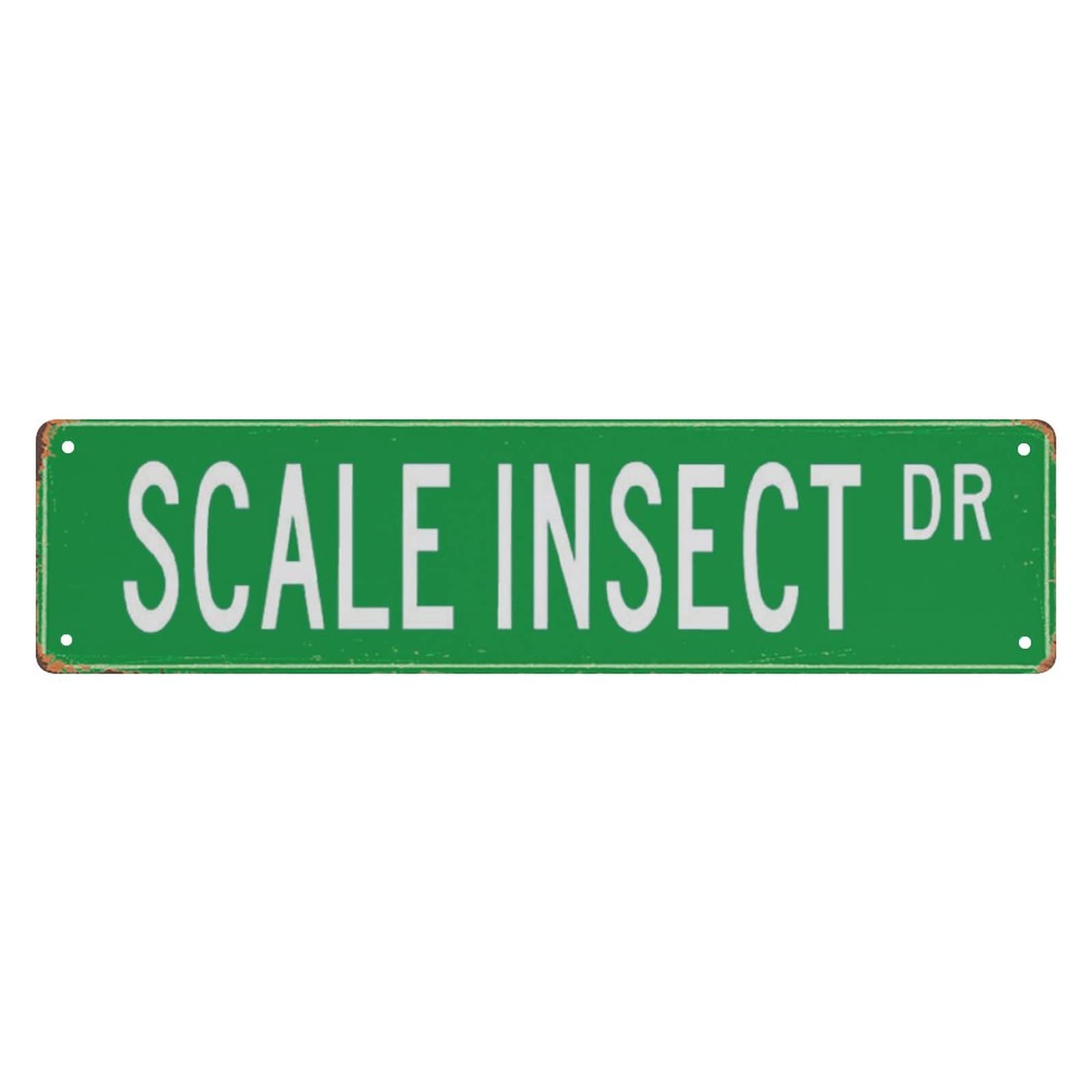 Scale Insect DR Vintage Tin Signs Art Plaque Aluminum for Bedroom Kitchen Garden Wall Pub Club Coffee Hanging Decor 4x16 Inch